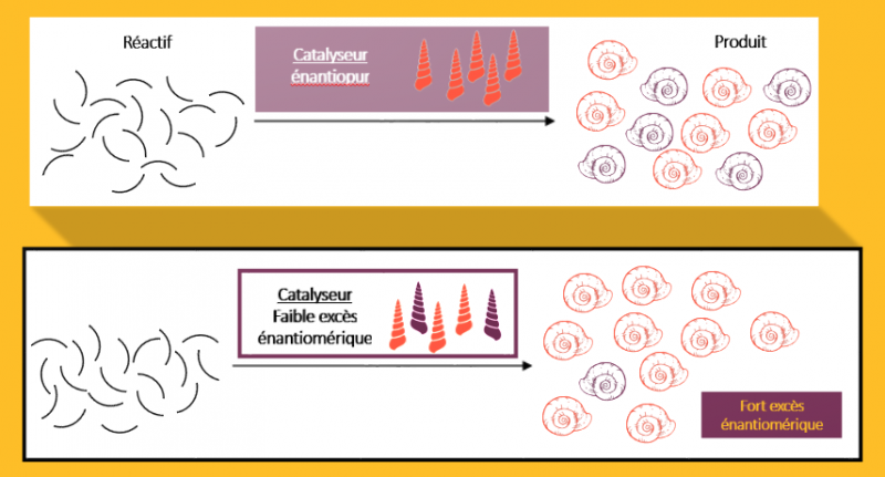 La catalyse non linéaire hyperpositive…