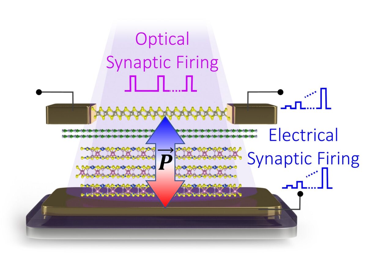 Des hétérostructures ferroélectriques contrôlées par la lumière pour l’électronique neuromorphique