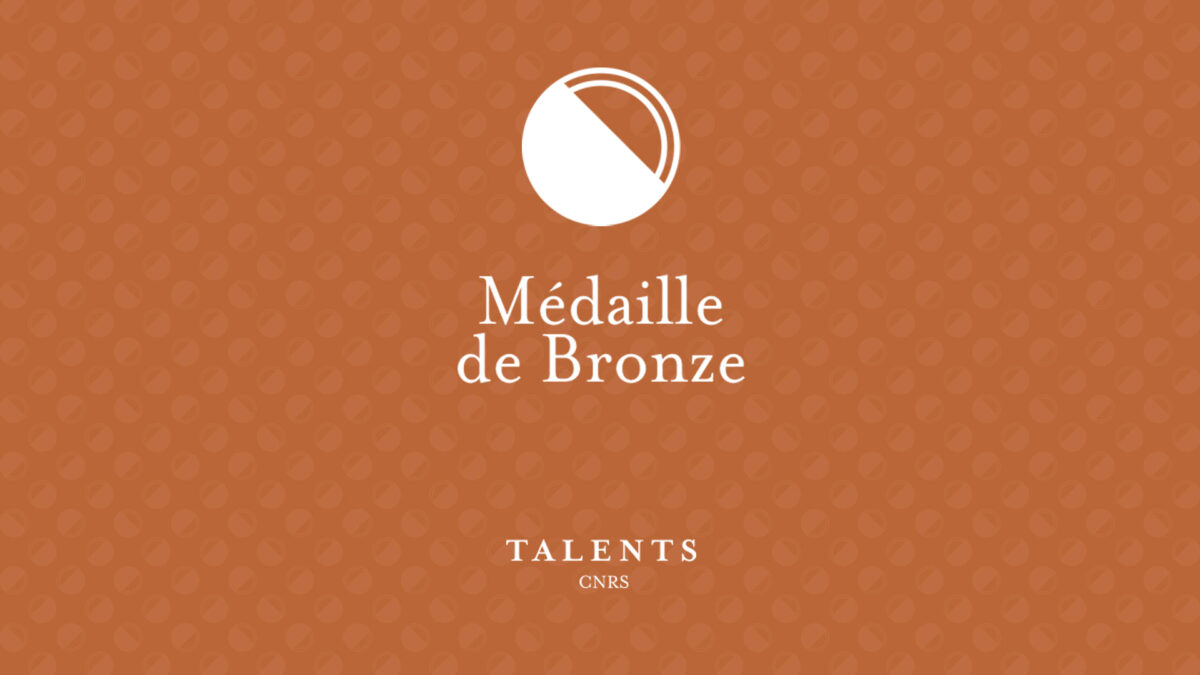 Daniele Preziosi : winner of the 2023 CNRS bronze medal