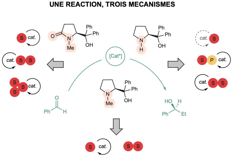 Chimie de synthèse : vers un meilleur contrôle de la chiralité